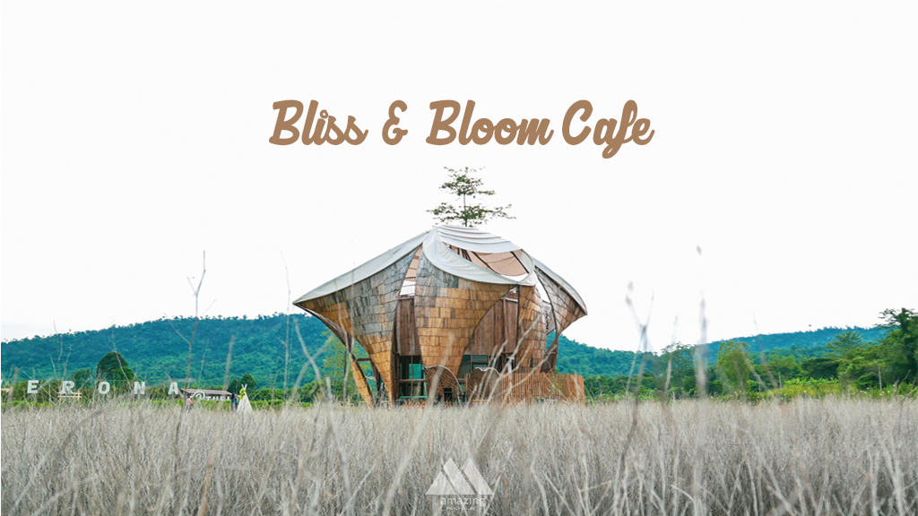 Bliss & Bloom Cafe